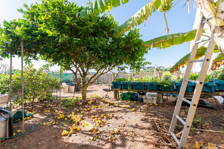 5 Bedroom Property for Sale in Duyker Eiland Western Cape